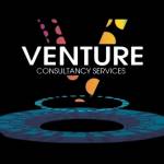 venture consultancy services