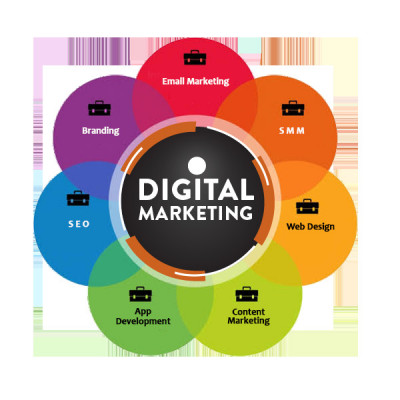 Search Engine Optmisation Profile Picture