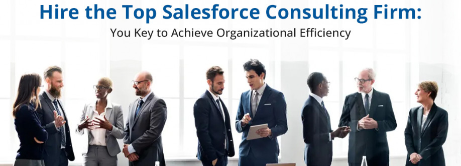 360 Degree Cloud Top Salesforce Consulting Servic Cover Image