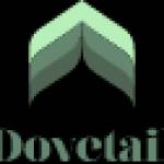 Dovetail India Profile Picture