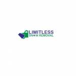 Limitless Snow Removal