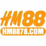 HM8878 Com