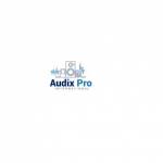Audix Pro International