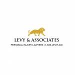 levyinjurylaw