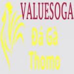 Đá Gà Trực Tiếp Thomo