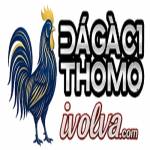 ĐÁ GÀ C1TRỰC TIẾP ĐÁ GÀ THOMO XEM MIỄN PHÍ