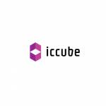 icCube