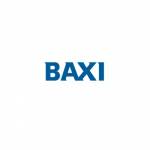 Servicio Técnico Baxi Técnico Baxi